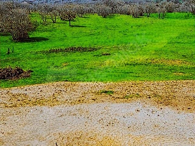 Küçük Şapçı, Havran içerisinde satılık Arsa