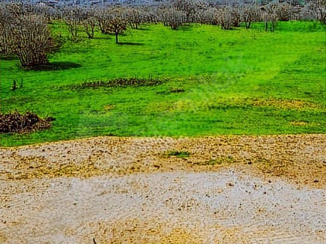 Küçük Şapçı, Havran içerisinde satılık Arsa