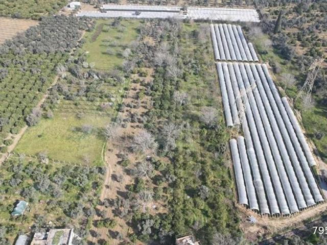 İkizdere, İncirliova içerisinde satılık mülk