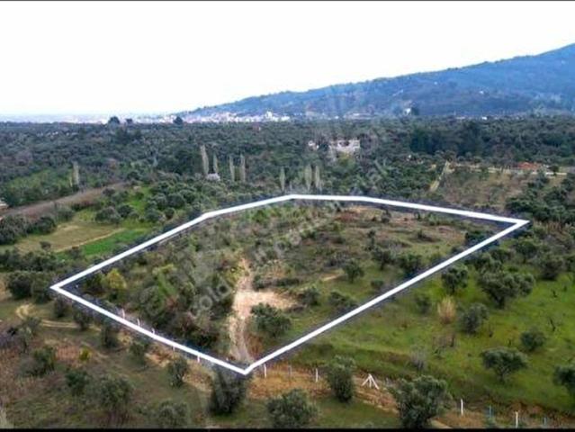 Kemalpaşa, İzmir içerisinde satılık Arsa