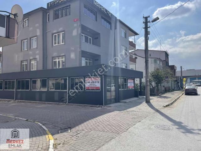 İzmit, Kocaeli içerisinde kiralık mülk