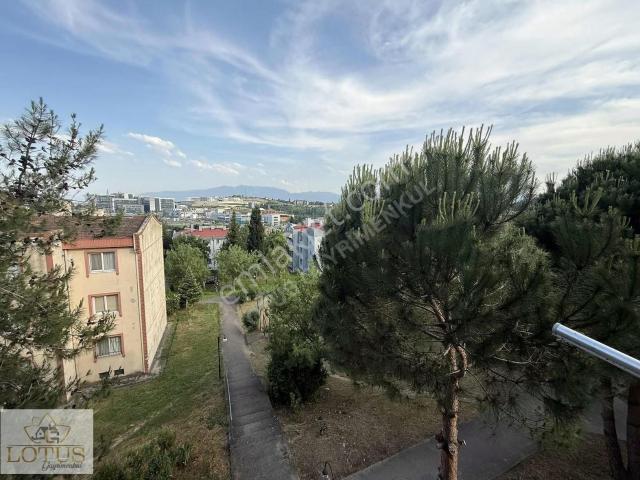 İzmit, Kocaeli içerisinde kiralık mülk
