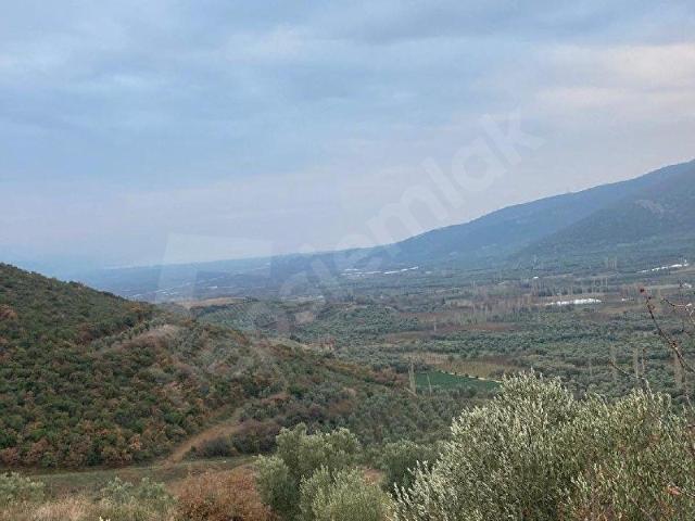 İznik, Bursa içerisinde satılık Arsa