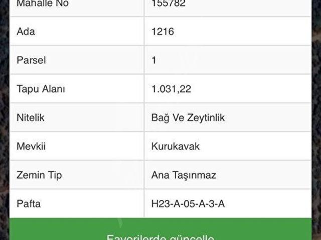 İznik, Bursa içerisinde satılık mülk