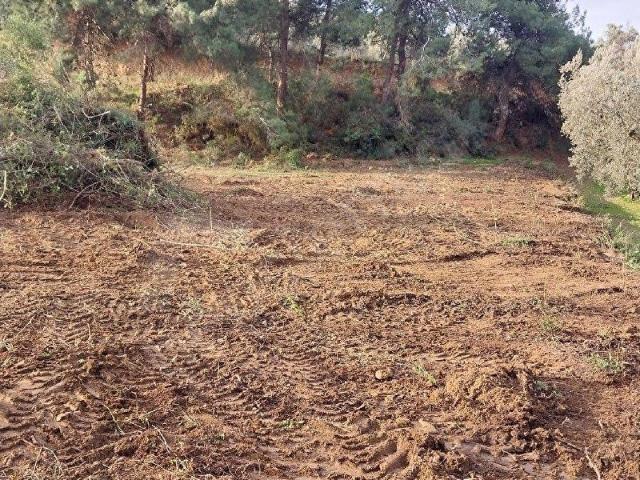 İznik, Bursa içerisinde satılık Arsa