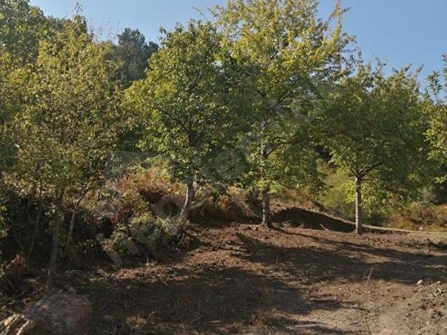 İznik, Bursa içerisinde satılık Arsa
