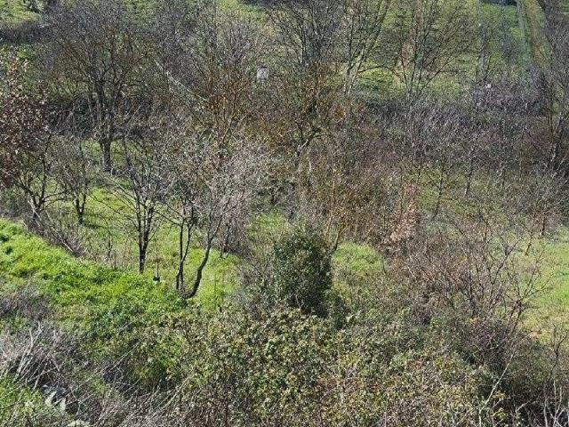 İznik, Bursa içerisinde satılık Arsa