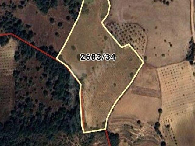 İznik, Bursa içerisinde satılık Arsa