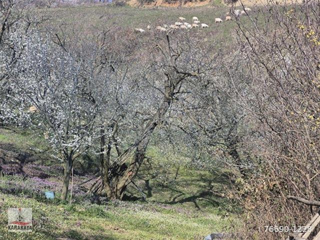 İznik, Bursa içerisinde satılık Arsa