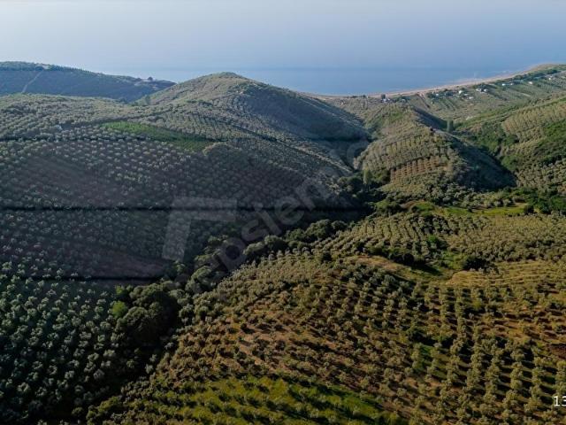 İznik, Bursa içerisinde satılık Arsa