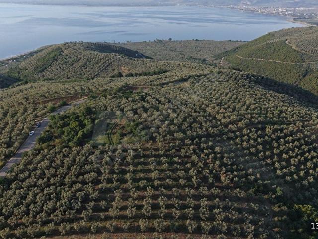 İznik, Bursa içerisinde satılık Arsa