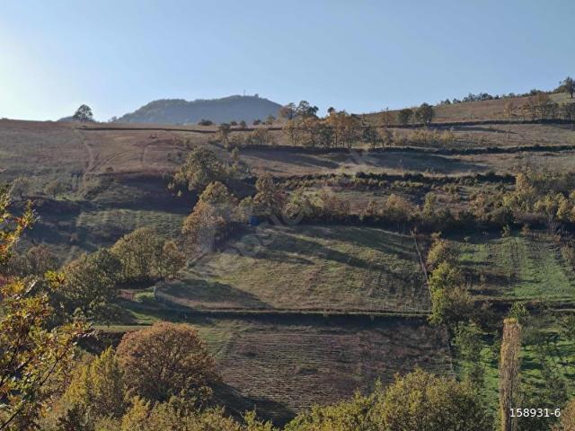 İznik, Bursa içerisinde satılık mülk