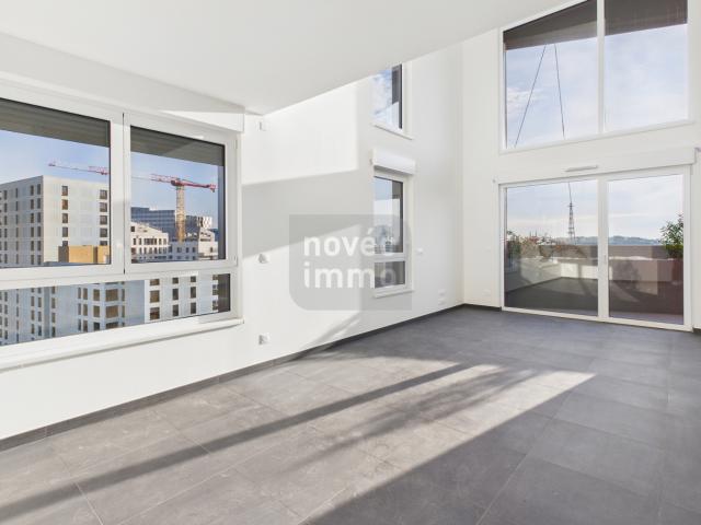 Duplex vente à Strasbourg, Hoenheim