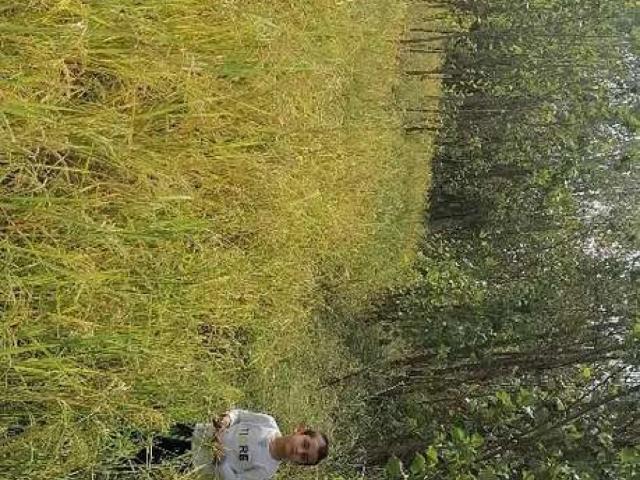 Land for rent in Mardan, North West Frontier Province