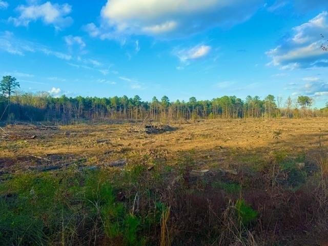 Land for sale in Boyce, Louisiana