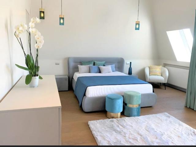 Apartament închirieri în Timisoara, Timiș