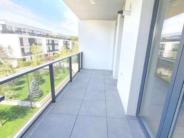 Apartament închirieri în Zodiac, Voluntari
