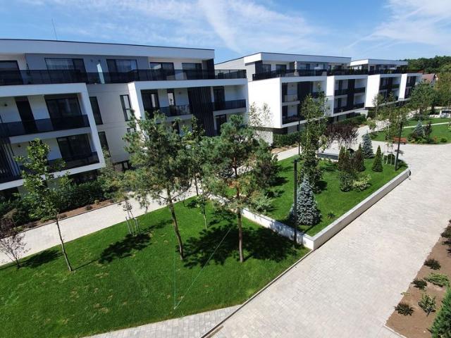 Apartament închirieri în Zodiac, Voluntari