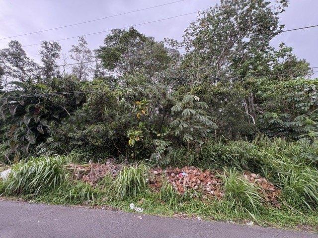 Land for sale in Pahoa, Hawaiʻi County