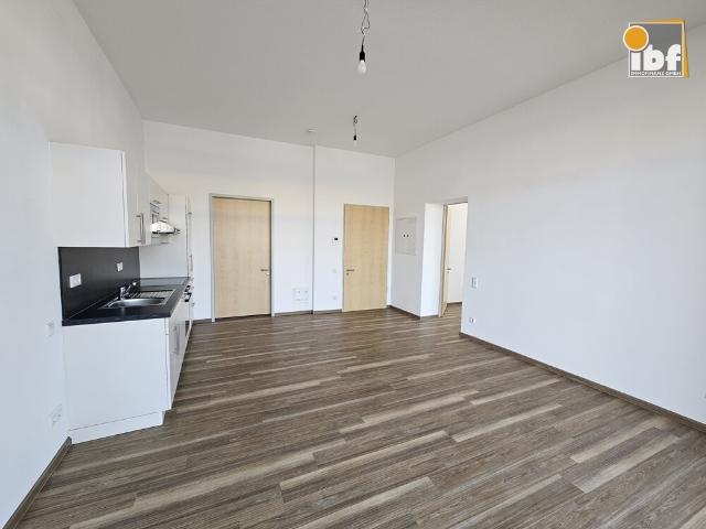 Apartment mieten in Mariaweiler, Düren