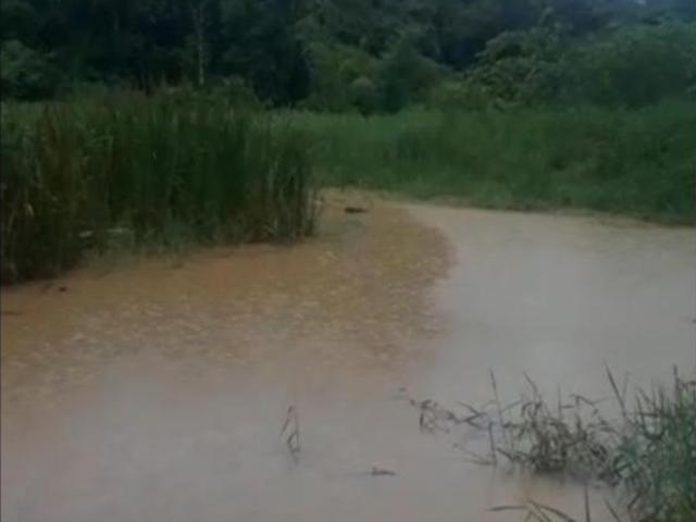 Sítio e chácara venda em Região Imediata de Sorocaba, Região Metropolitana de Sorocaba