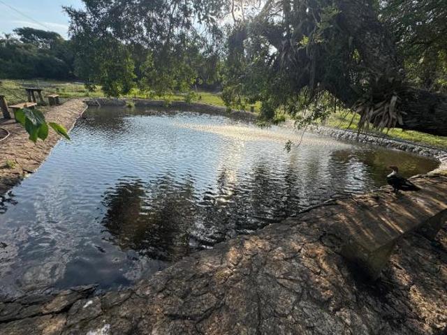 Sítio e chácara venda em Região Imediata de Sorocaba, Região Metropolitana de Sorocaba