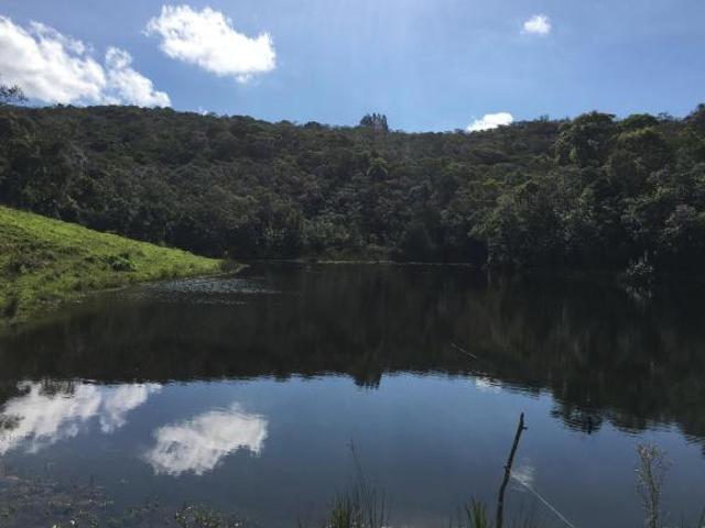 Sítio e chácara venda em Ibiúna, Ibiuna