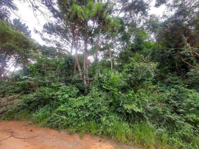 Terreno venda em Região Imediata de Sorocaba, Região Metropolitana de Sorocaba