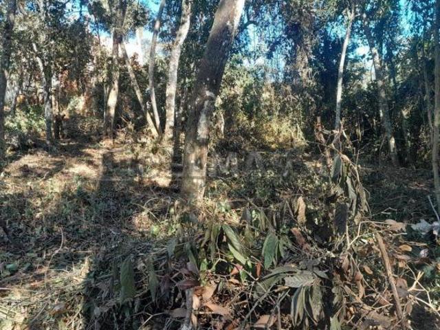Terreno venda em Região Imediata de Sorocaba, Região Metropolitana de Sorocaba