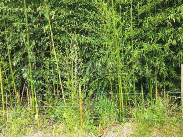 Terreno venda em Região Imediata de Sorocaba, Região Metropolitana de Sorocaba