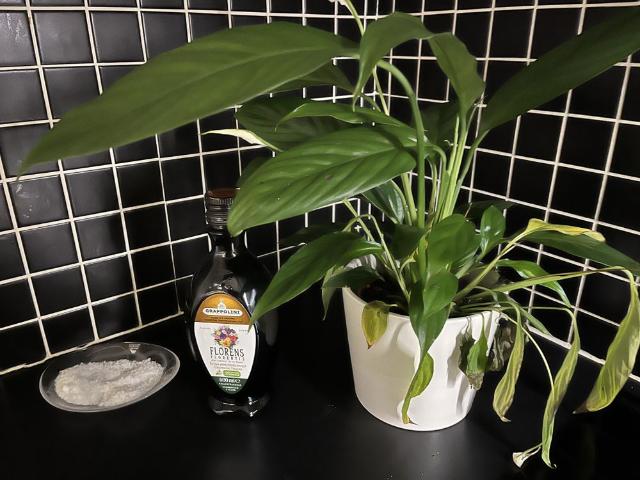 Rum hyra i Göteborg, Västra Götaland