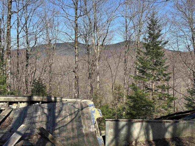 Land for sale in Chittenden Land for sale in Chittenden