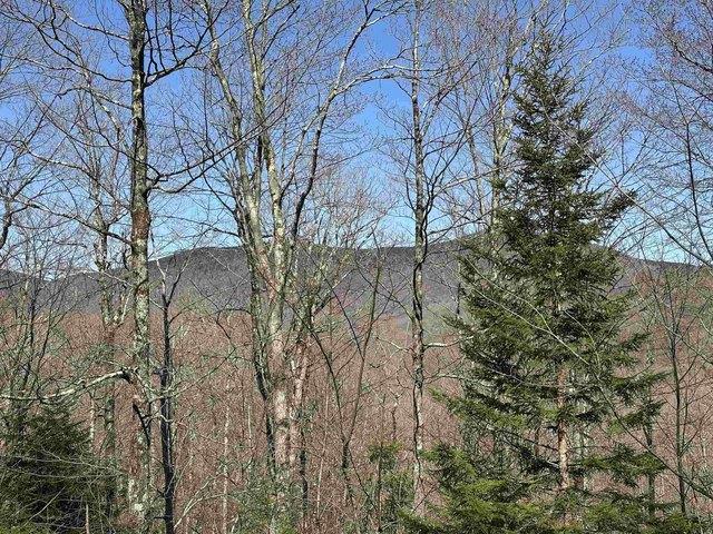 Land for sale in Chittenden, Vermont