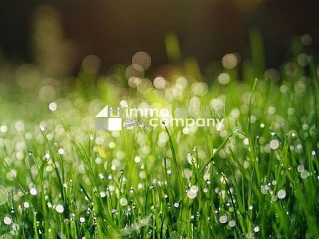 Grundstück kaufen in Zillingdorf, Niederösterreich