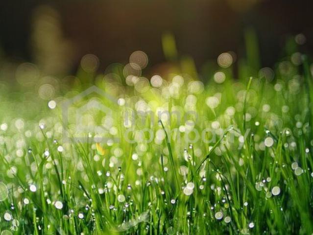 Grundstück kaufen in Zillingdorf, Niederösterreich