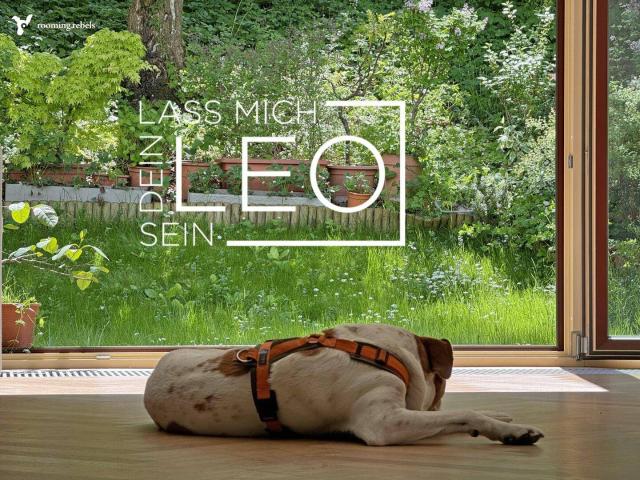 Haus kaufen in Liesing, Wien