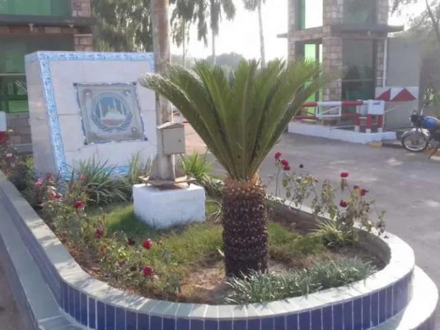 Land for rent in ایف-11, اسلام آباد