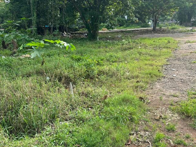 Land for sale in Trivandrum