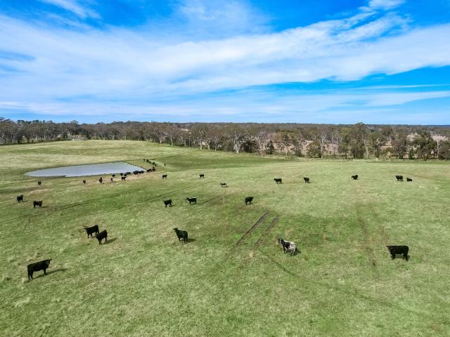 Property for sale in High Range, New South Wales