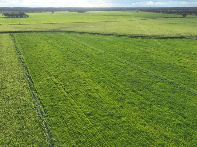 Property for sale in Barham, New South Wales