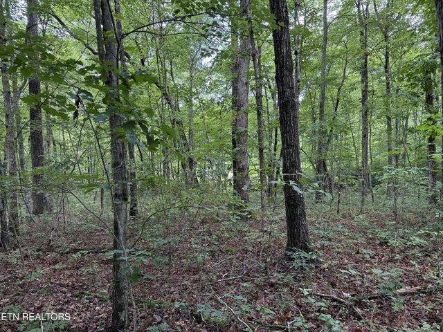 Land for sale in Monterey, Middle Tennessee