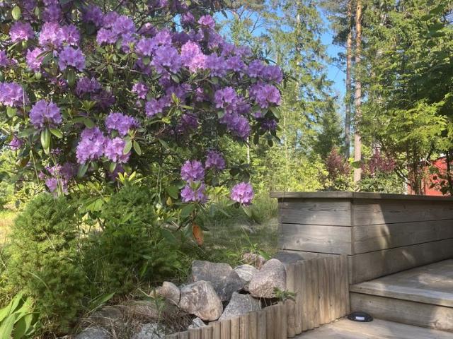 Stuga hyra i Nabbo, Stockholms län
