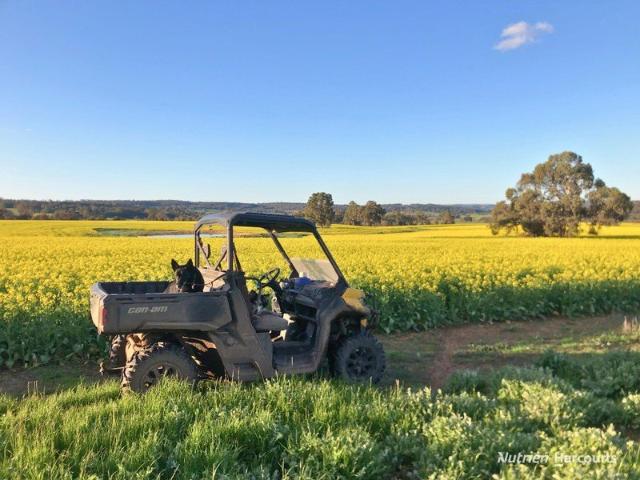 Property for sale in Western Australia