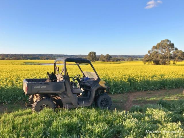 Property for sale in Western Australia