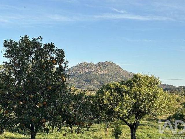 Terreno venda em Castelo Branco, Idanha-a-nova