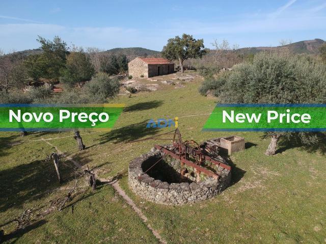 Terreno venda em Castelo Branco, Idanha-a-nova