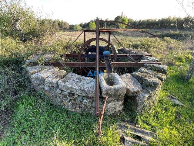 Terreno venda em Castelo Branco, Idanha-a-nova