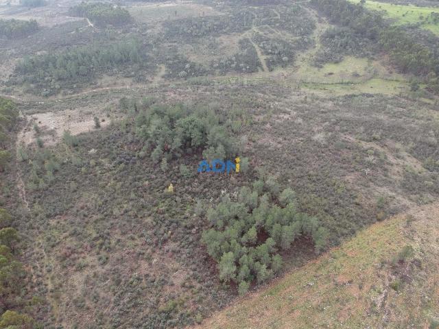 Terreno venda em Castelo Branco, Idanha-a-nova