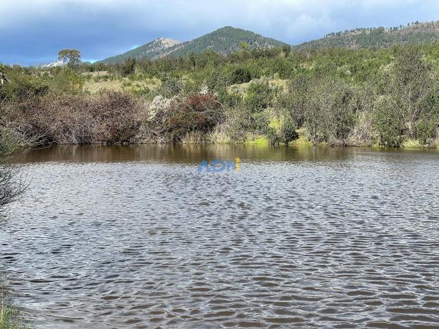 Terreno venda em Castelo Branco, Idanha-a-nova