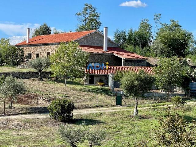 Terreno venda em Castelo Branco, Idanha-a-nova